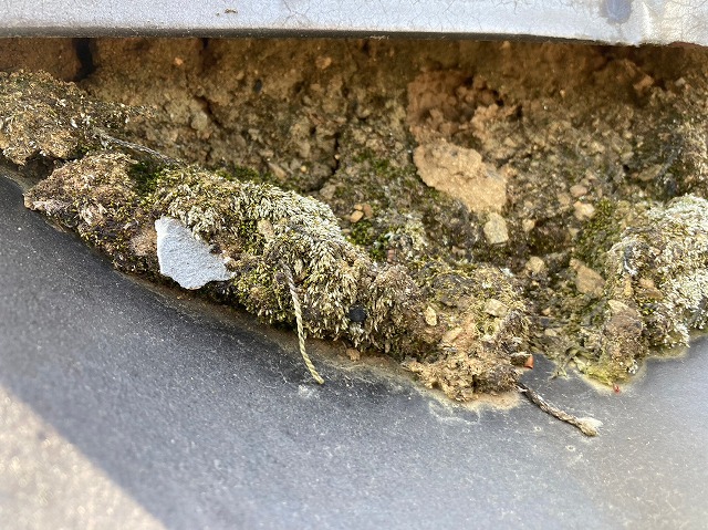 フカフカになってしまっている漆喰